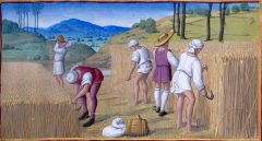 ALLE RADICI DEL GUSTO